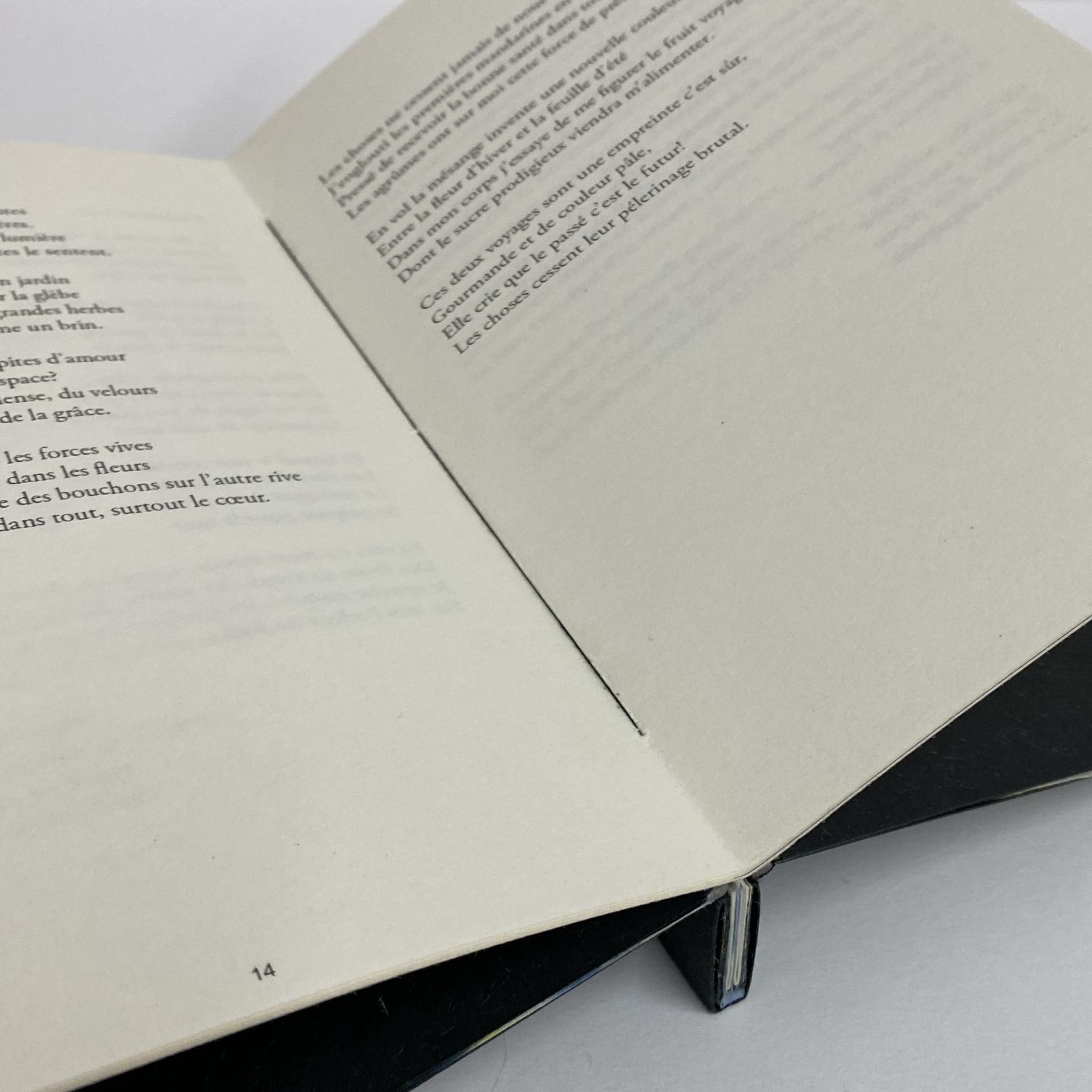 Livre ouvert. Vue sur la couture du cahier unique et sur la position de la reliure une fois ouverte, à plat.