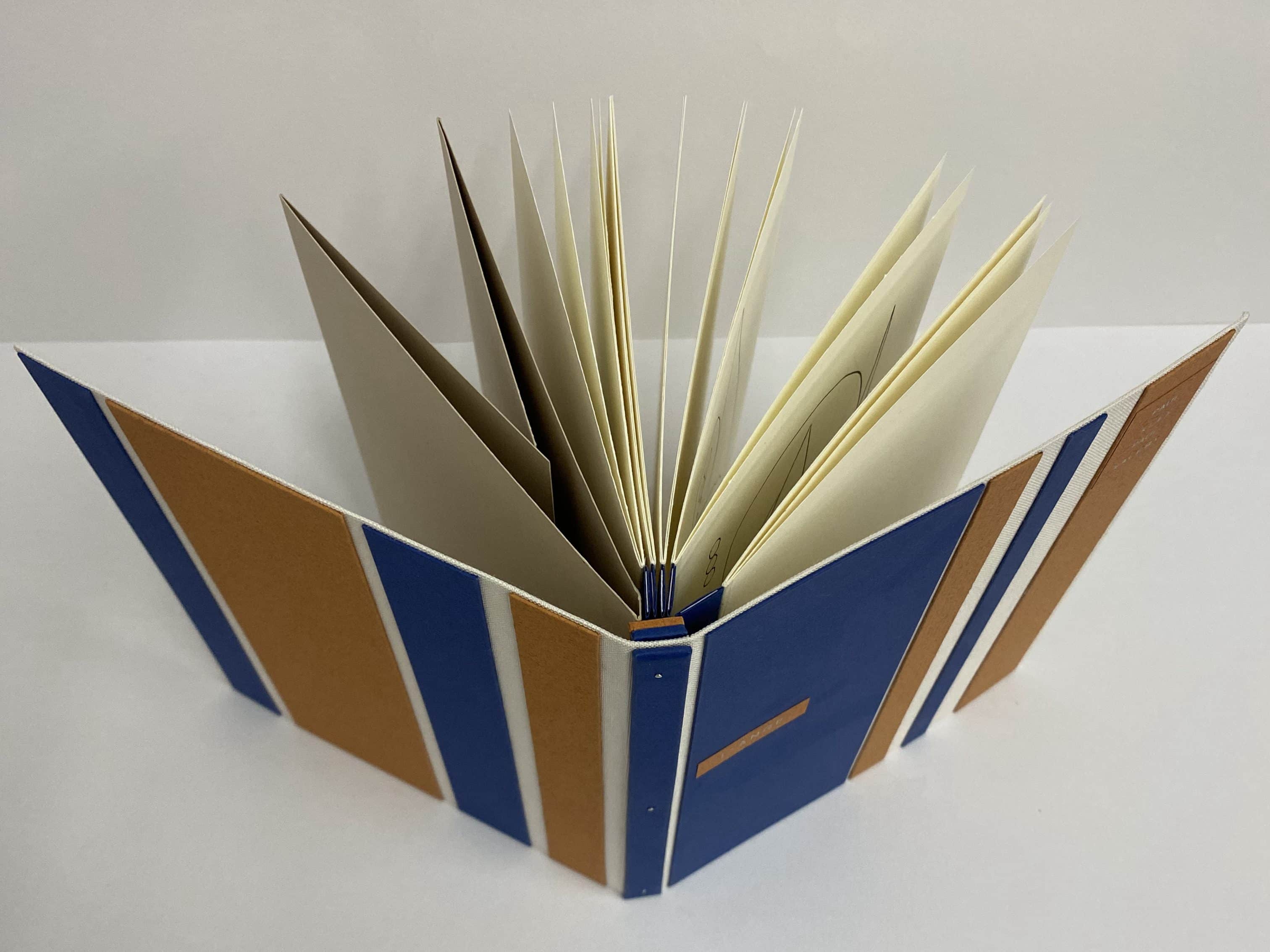 Point de vue du dessus du livre déployé.