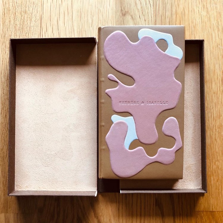 Vue sur le plat avant de la reliure, posée dans sa boite à chasses