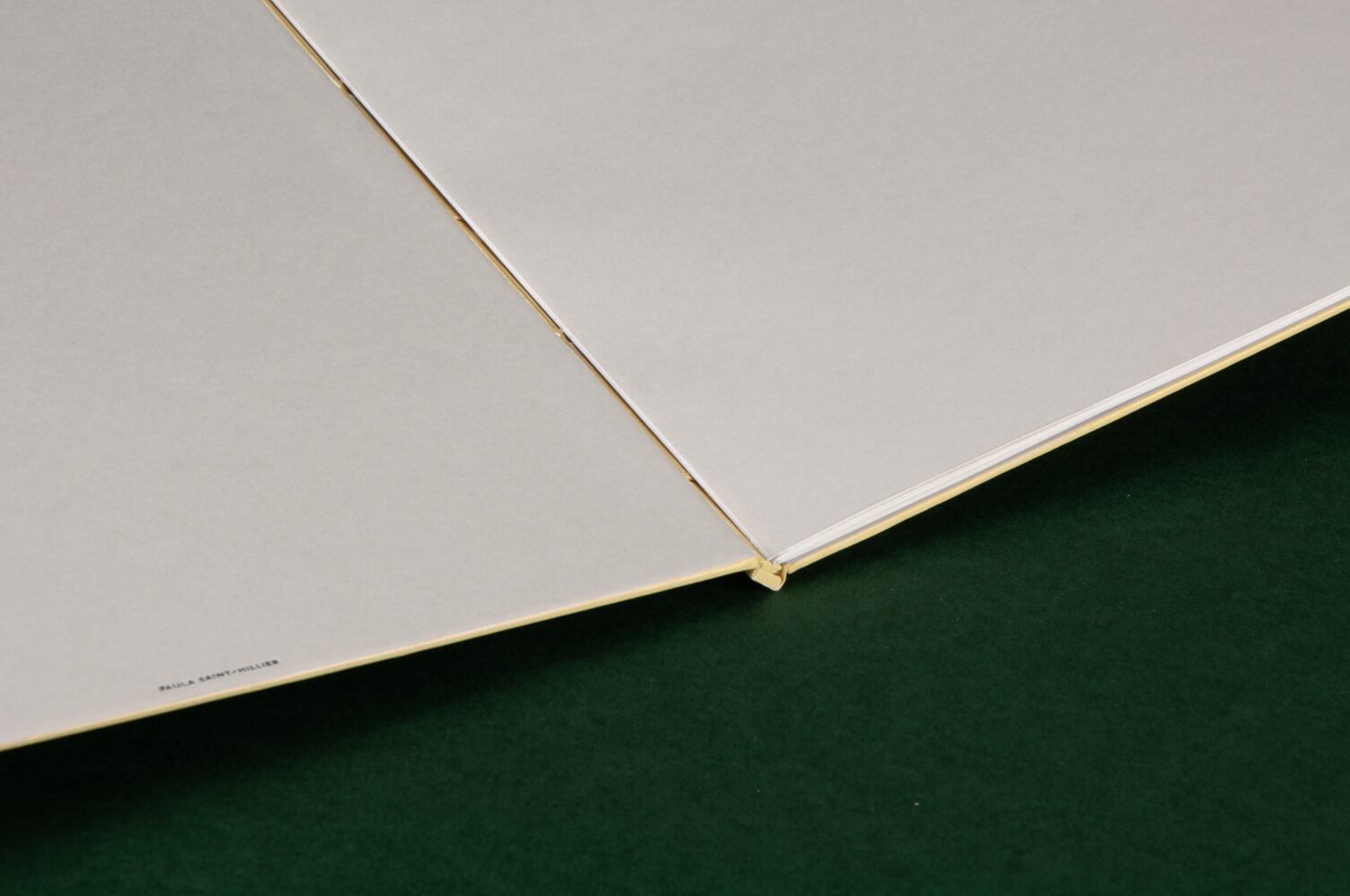 Vue sur la charnière du livre, laissant apparaitre les éléments de montage, la garde bords à bords et la gardes volante.