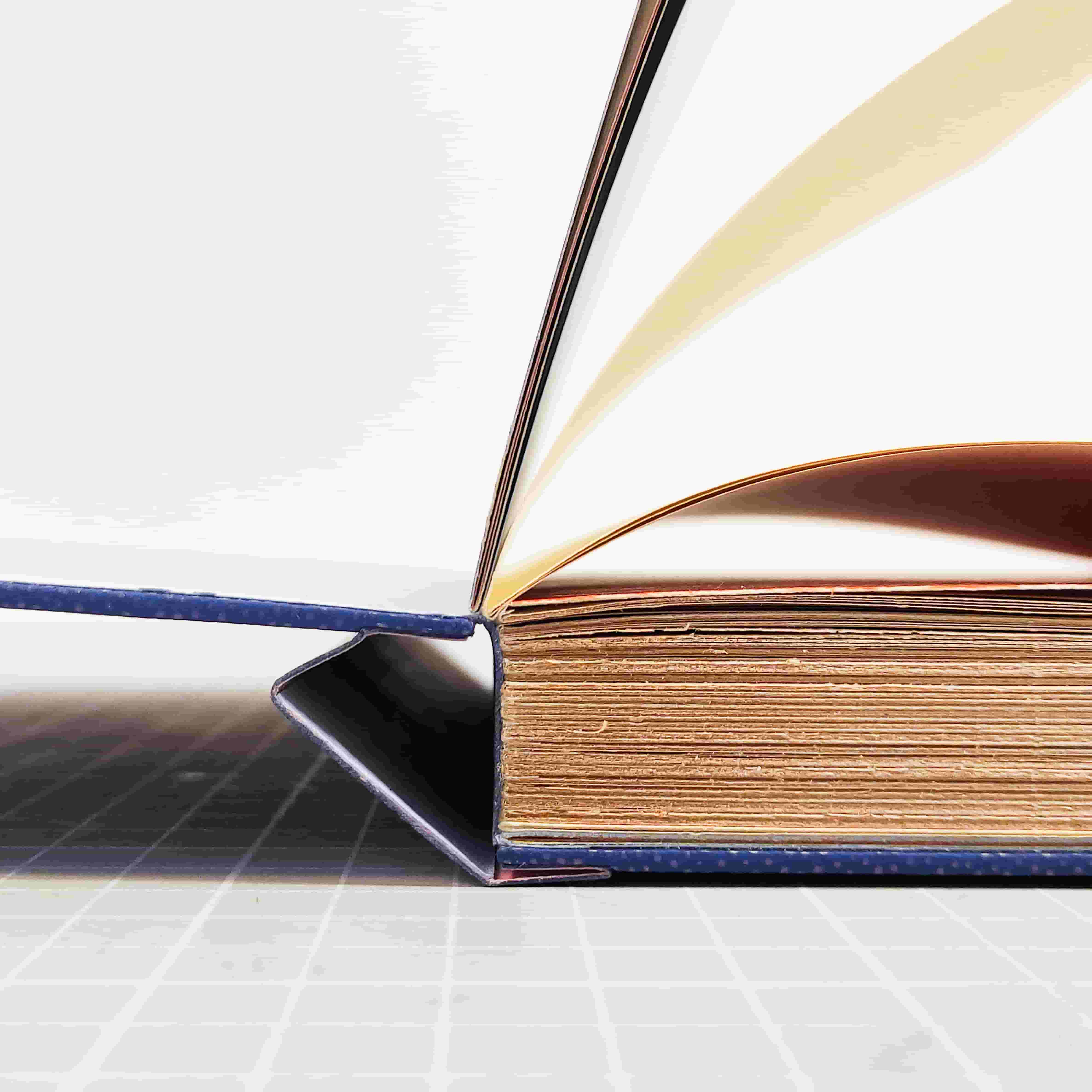 Zoom sur l'ouverture d'un livre et de l'articulation des différents éléments de la reliure : dos, plats, livre.