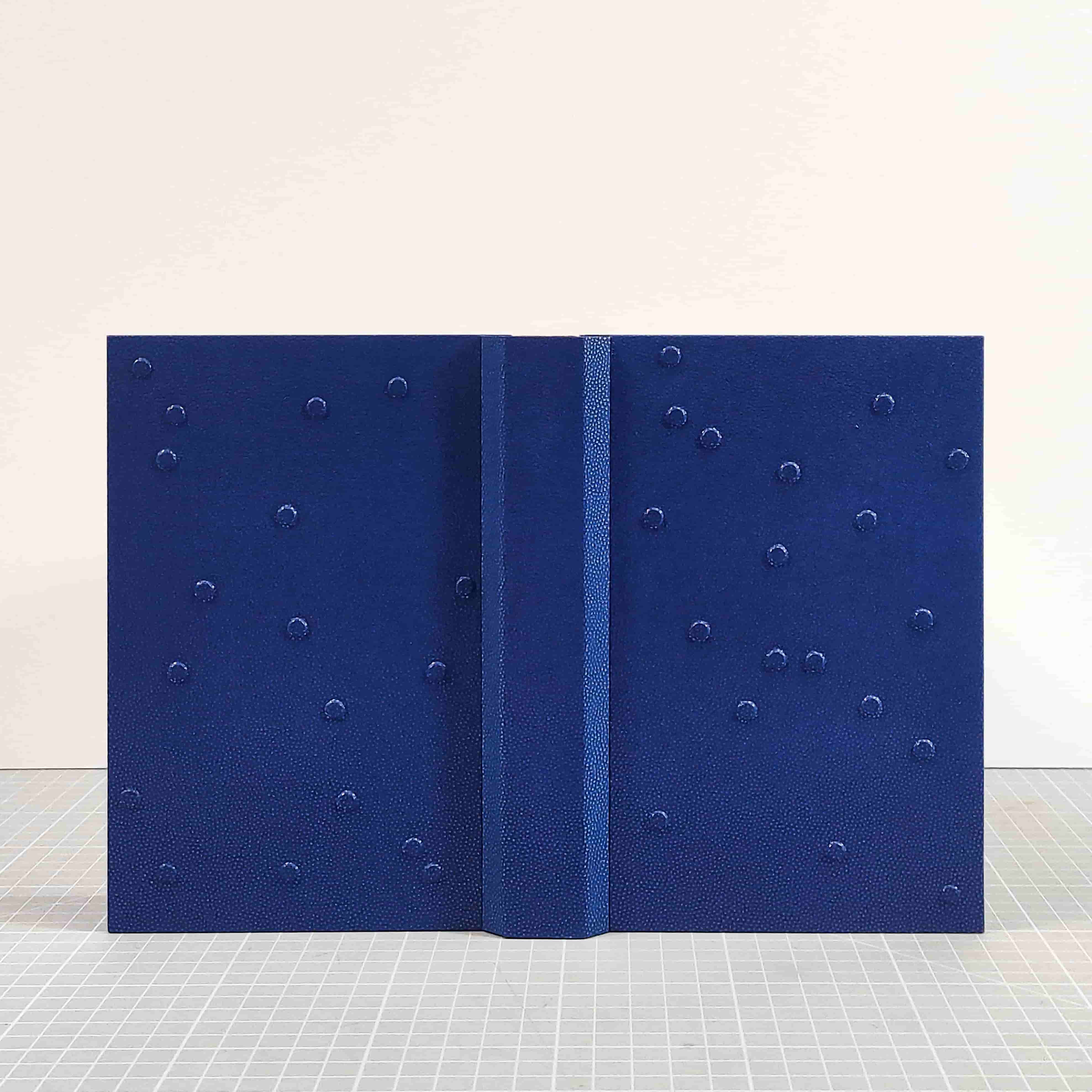 Reliure ouverte proposant une lecture de face des deux plats et du dos. Reliure en cuir bleu. Éléments en relief sur les plats.